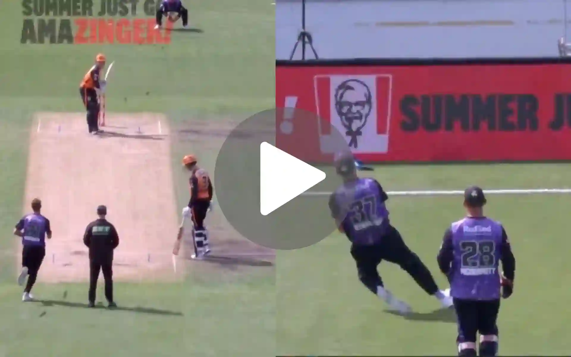 [Watch] Best Catch Of BBL 2024-25! Hobart Fielder Takes A Blinder vs Perth Scorchers